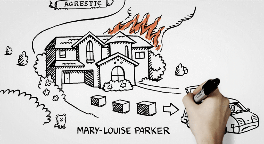 Whiteboard Animation Videos