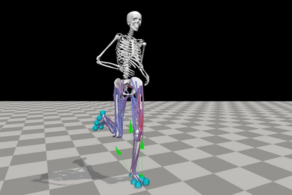 Skeletal Animation Services